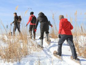 Snow Shoeing