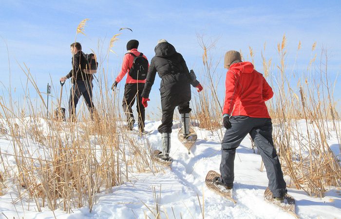 Snow Shoeing