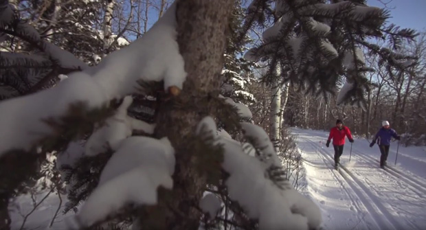 Cross-country skiing