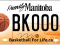 Licence plate