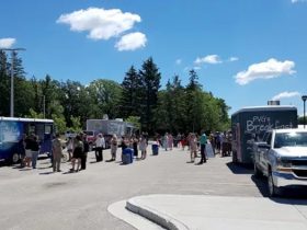 Food Truck Fair