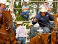 Rodeo action