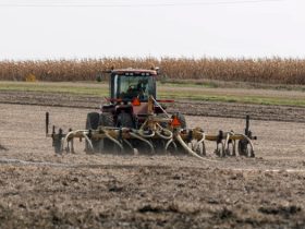 Manure application