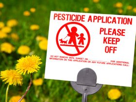 Pesticides