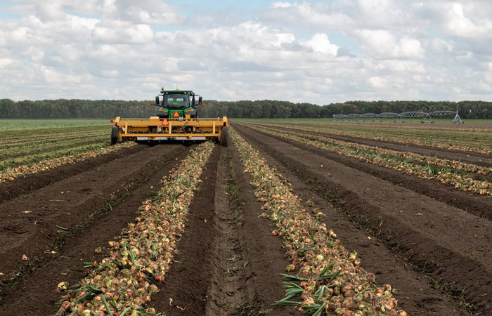 Kroeker Farms