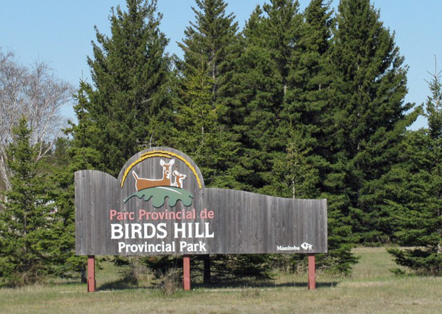 Birds Hill