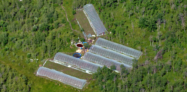 Six 2000 square foot green houses