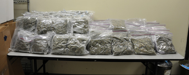 Marijuana seized