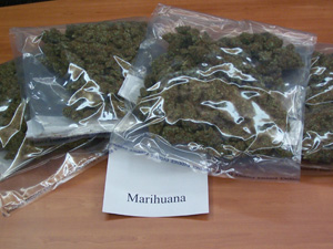 Marijuana seized