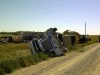 Cattle truck rollover