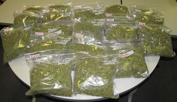 Marijuana seized by RCMP