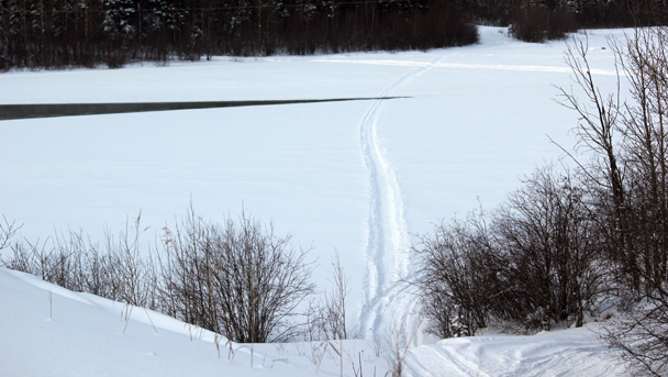 Snowmobile tracks