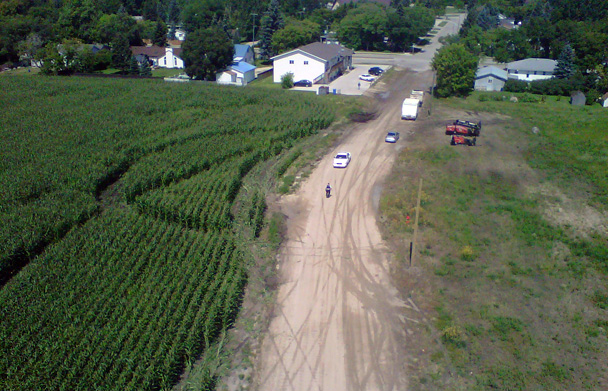 Damaged corn field